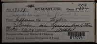 Image Associated With the Occurence